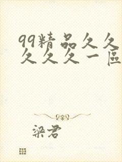 99精品久久久久久久一区