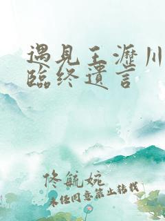 遇见王沥川小秋临终遗言