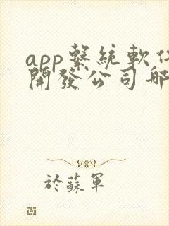 app系统软件开发公司哪家好