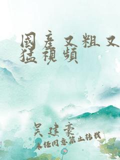 国产又粗又爽又猛视频