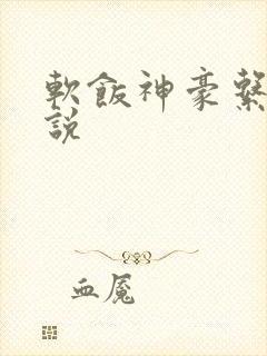 软饭神豪系统小说
