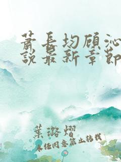 萧长均顾沁儿小说最新章节免费阅读