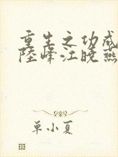 重生之功成名就陆峰江晓燕全本