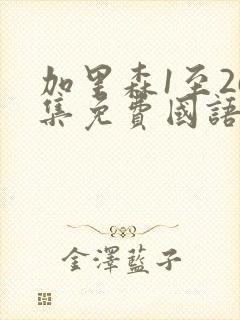 加里森1至26集免费国语版