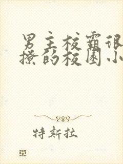 男主校霸很痞很撩的校园小说