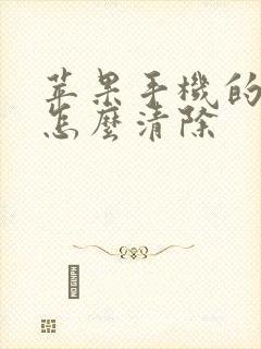 苹果手机的缓存怎么清除