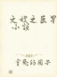 文娱之巨星教父 小说