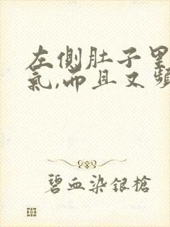 左侧肚子里有胀气,而且又频繁放屁