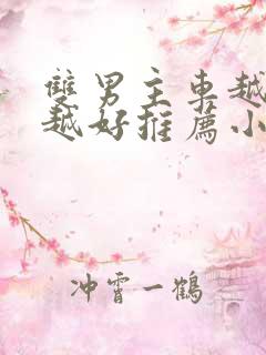 双男主车越详细越好推荐小说