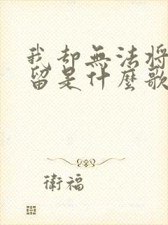 我却无法将你挽留是什么歌