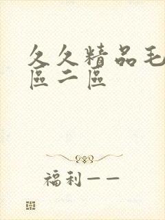 久久精品毛片一区二区