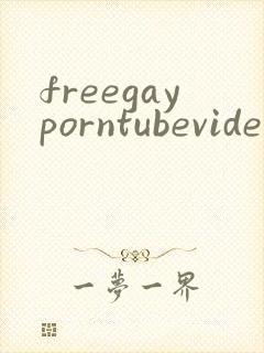 freegayporntubevideos