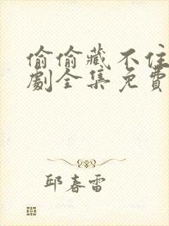 偷偷藏不住电视剧全集免费播放