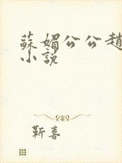 苏媚公公赵大宝小说