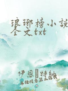 琅琊榜小说原著全文txt