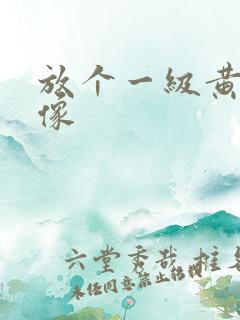 放个一级黄色录像