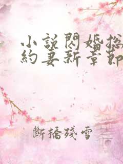 小说闪婚总裁契约妻新章节列表