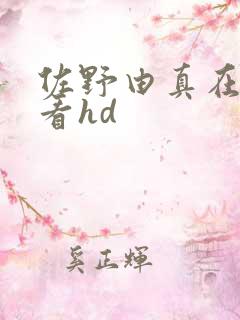 佐野由真在线观看hd