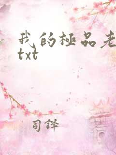 我的极品老婆们txt