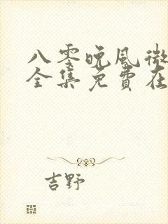 八零晚风微微甜全集免费在线观看