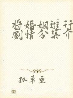 将婚姻进行到底剧情分集介绍