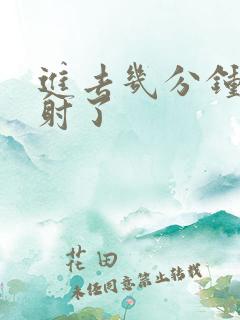 进去几分钟就早射了