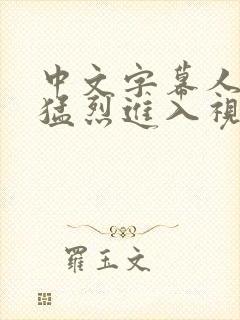 中文字幕人妻被猛烈进入视频