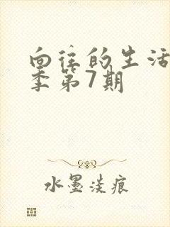 向往的生活第四季第7期