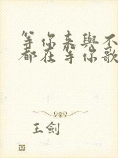 等你来与不来我都在等你歌词