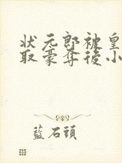 状元郎被皇上强取豪夺后小说阅读