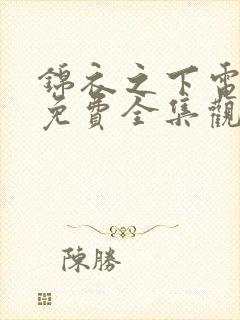 锦衣之下电视剧免费全集观看