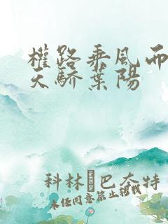 权路乘风而起化天骄叶阳