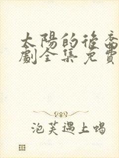 太阳的后裔电视剧全集免费观看