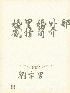 婚里婚外那些事剧情简介