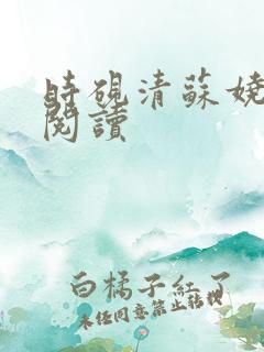 时砚清苏娆全本阅读