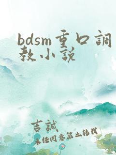 bdsm重口调教小说
