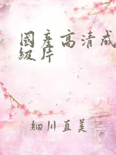 国产高清成人一级片