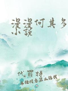 漫漫何其多其他小说