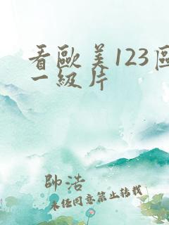 看欧美123区一级片