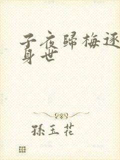 子夜归梅逐雨的身世