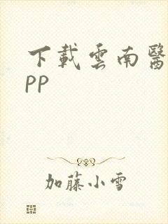 下载云南医保app