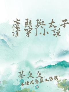 康熙与太子妃[清穿]小说