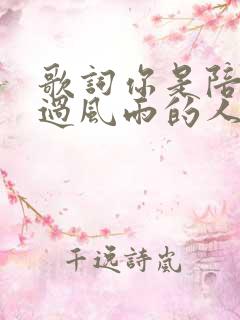 歌词你是陪我走过风雨的人