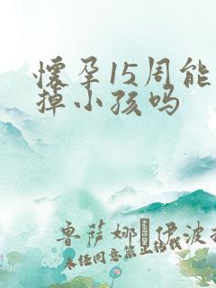 怀孕15周能打掉小孩吗