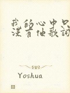 我的心中只有你没有他歌词