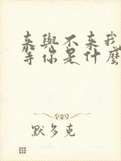 来与不来我都在等你是什么歌