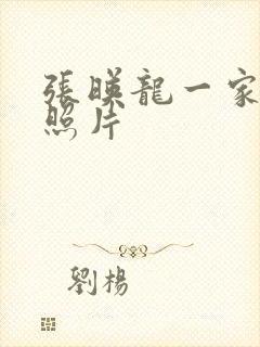 张映龙一家三口照片