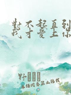 对不起直到现在我才爱上你原唱