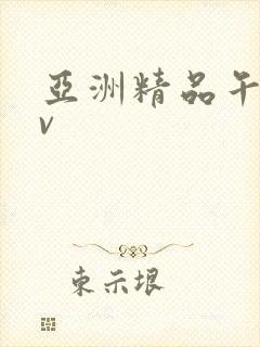 亚洲精品午夜av