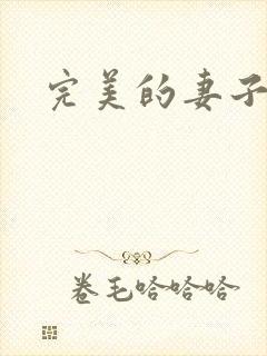 完美的妻子赵岚